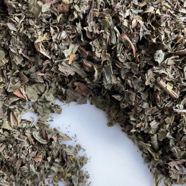 Forid Tea Inside a Florida Tea House Cafe: Rituals, Culture & Taste – PALM BEACH TEAS