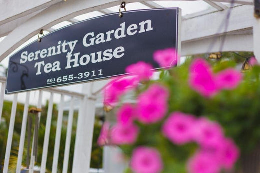 OTT in the Palm Beaches